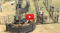 Cattle Handling Equipment by Priefert