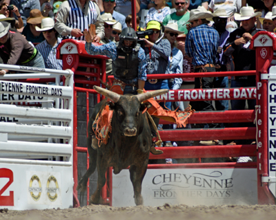 Add-on Bucking Chute - Image 12