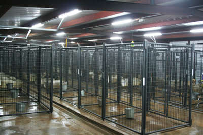 6' Tall Premier Kennel Kits - Image 7