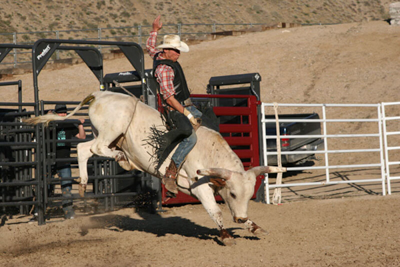 Bucking Chute - Image 10