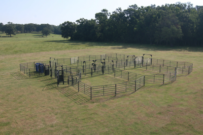 Rough Stock Open Corral System - 200 Head - Image 0