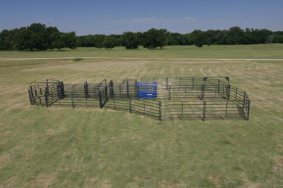 Rough Stock Open Corral System - 35 Head - Image 3