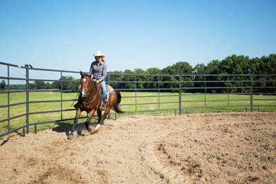 Riding Arenas - Image 2