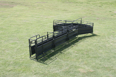 Sweep w/30' Adj. Alley & Preg Panels - Image 2
