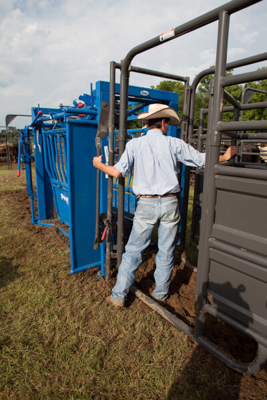 Adjustable Alley Frame w/Squeeze Chute Attachment - Image 5