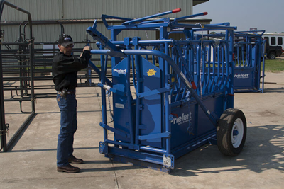 Wishbone Carriage - Image 1
