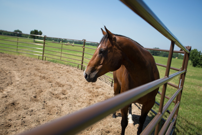Utility Round Pens - Image 3