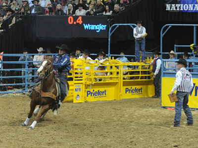 Competition Roping Chute Add-on Section - Image 0