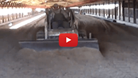 Skid Steer Blade