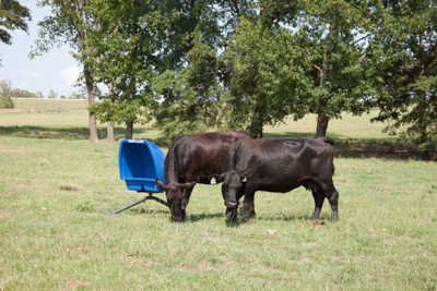 Weather Vane Feeder - Image 4
