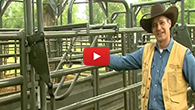 Priefert Large Cattle Working Systems