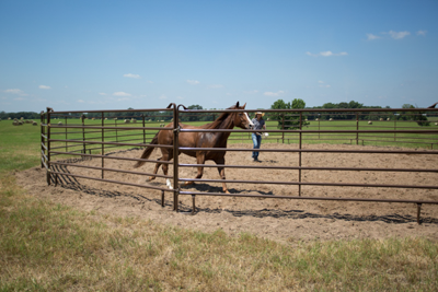 Utility Round Pens - Image 7