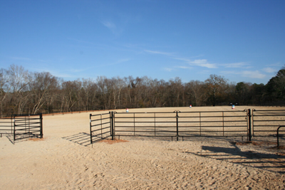 Riding Arenas - Image 3