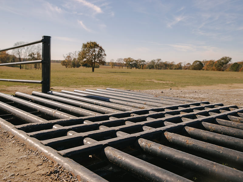 Cattle Guard Runners - Image 3