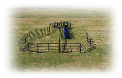 Rough Stock Open Corral System - 35 Head