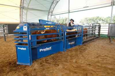 Roping Chute Add-on Section - Image 2