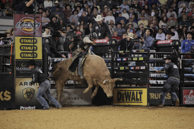 Add-on Bucking Chute - Image 10