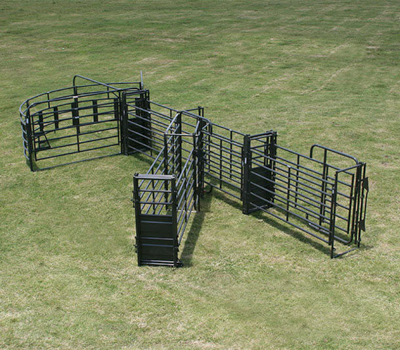 Sweep w/30' Adj. Alley, Sort Alley, Preg Panels, Block & Load Gates - Image 2