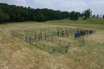 Rough Stock Open Corral - 250 Head w/Calf Table - Image 5