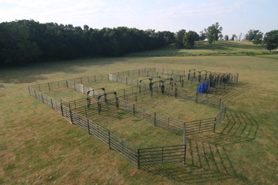 Rough Stock Open Corral System - 250 Head - Image 3