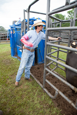 Rough Stock Open Preg Panel w/Sorting Gate - Image 2