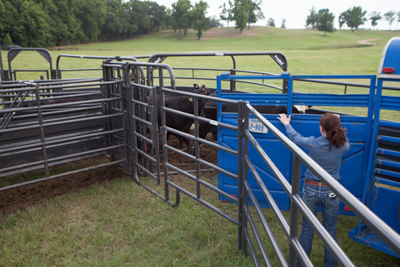 8' Solid Sweep Bow Gate - Image 3