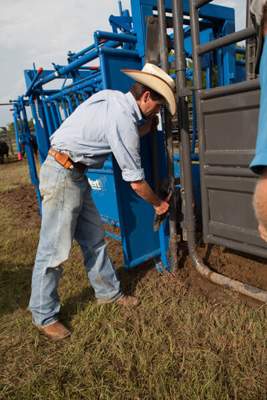 Adjustable Alley Frame w/Squeeze Chute Attachment - Image 3