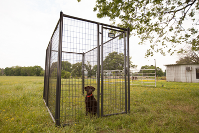6' Tall Premier Kennel Kits - Image 4