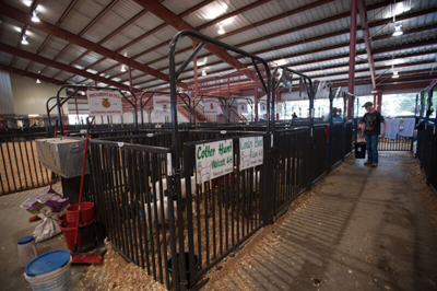 Sheep, Hog, & Goat Bow Gates - Image 2
