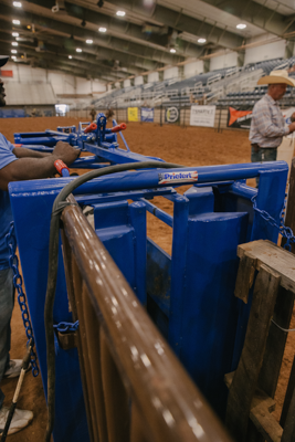 Manual Calf Roping Chute - Image 1