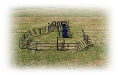Rough Stock Open Corral System - 35 Head