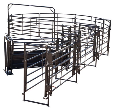 180 Degree Sweep w/ 24' Adj Alley & Calf Sort Alley